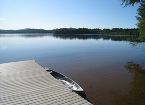 Enlarged view of image