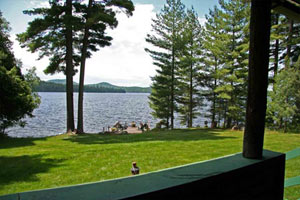 Enlarged view of image