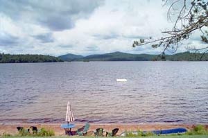 Enlarged view of image